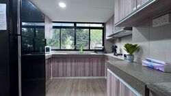 Pandan Valley (D21), Condominium #541863001
